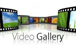 NHF Video Gallery